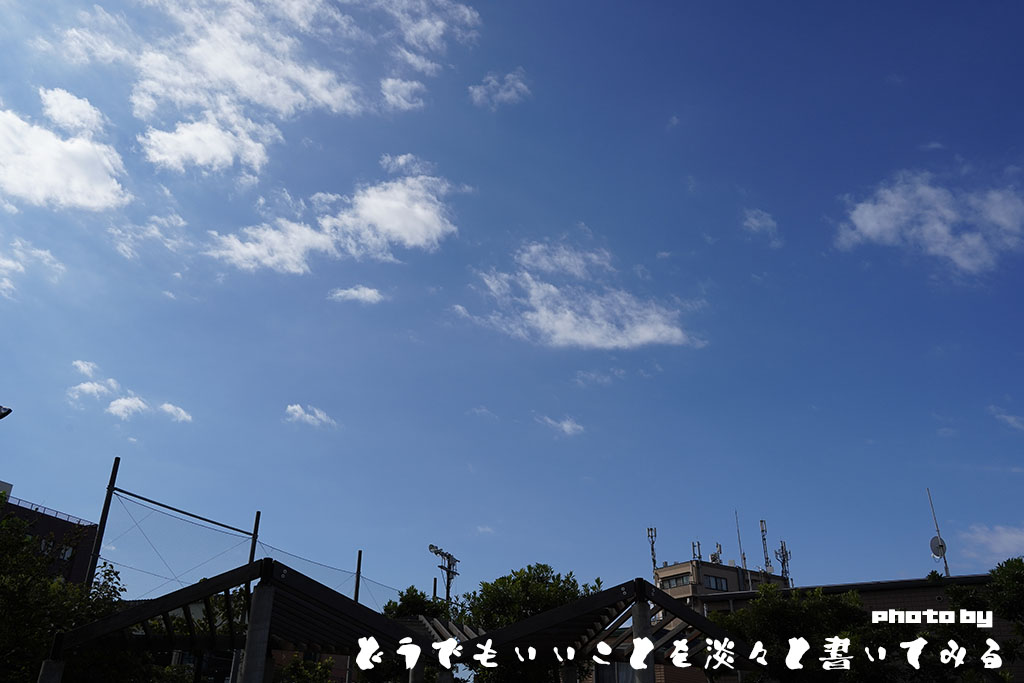 f:id:JackYashiro:20201025001025j:plain f:id:JackYashiro:20201025001025j:plain