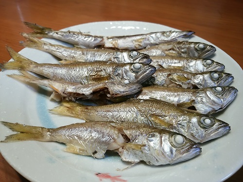 f:id:Jackpot_fishing:20180708225549j:plain
