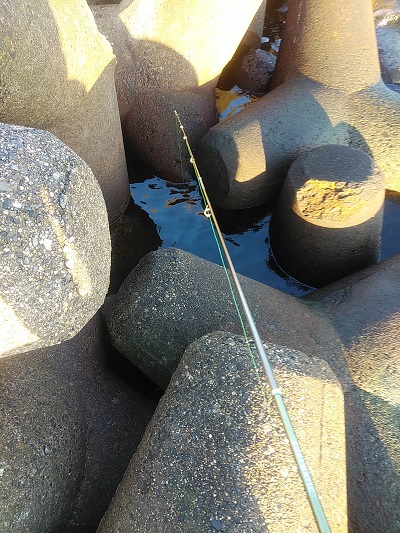 f:id:Jackpot_fishing:20190104205511j:plain