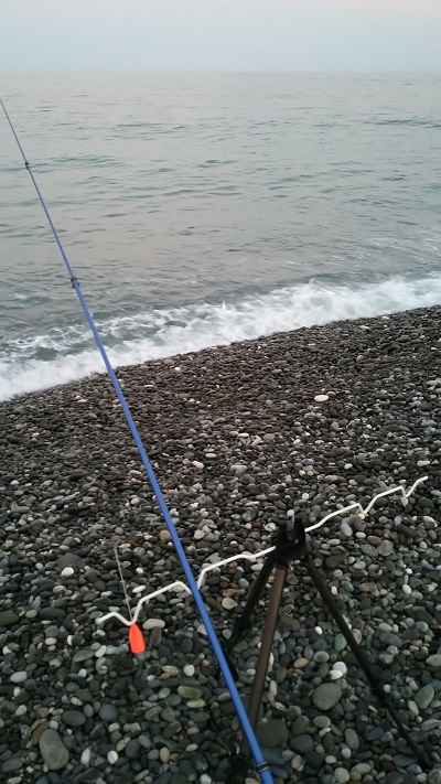 f:id:Jackpot_fishing:20190324110446j:plain