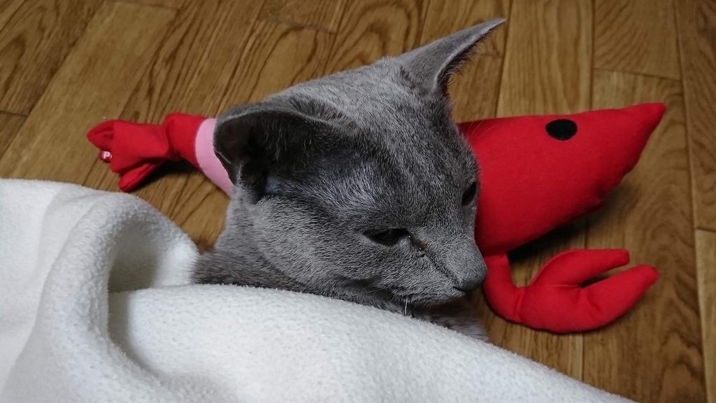 f:id:Jade-Seimei:20190216115045j:plain:w300:left