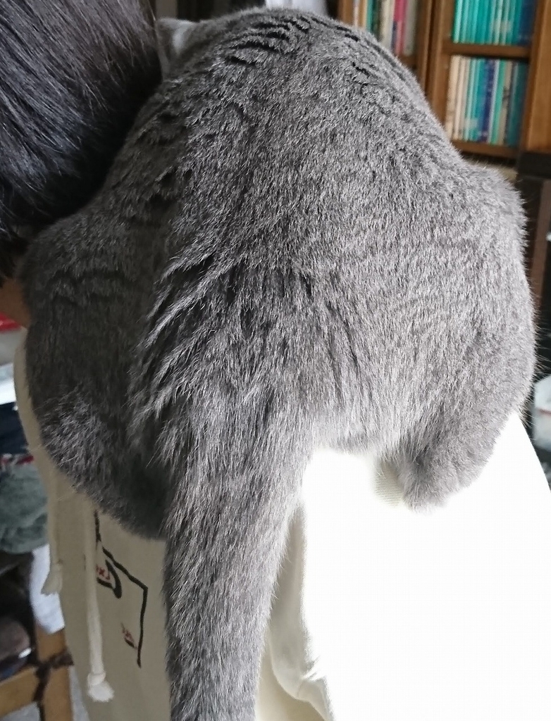 f:id:Jade-Seimei:20190310093029j:plain:w300:right