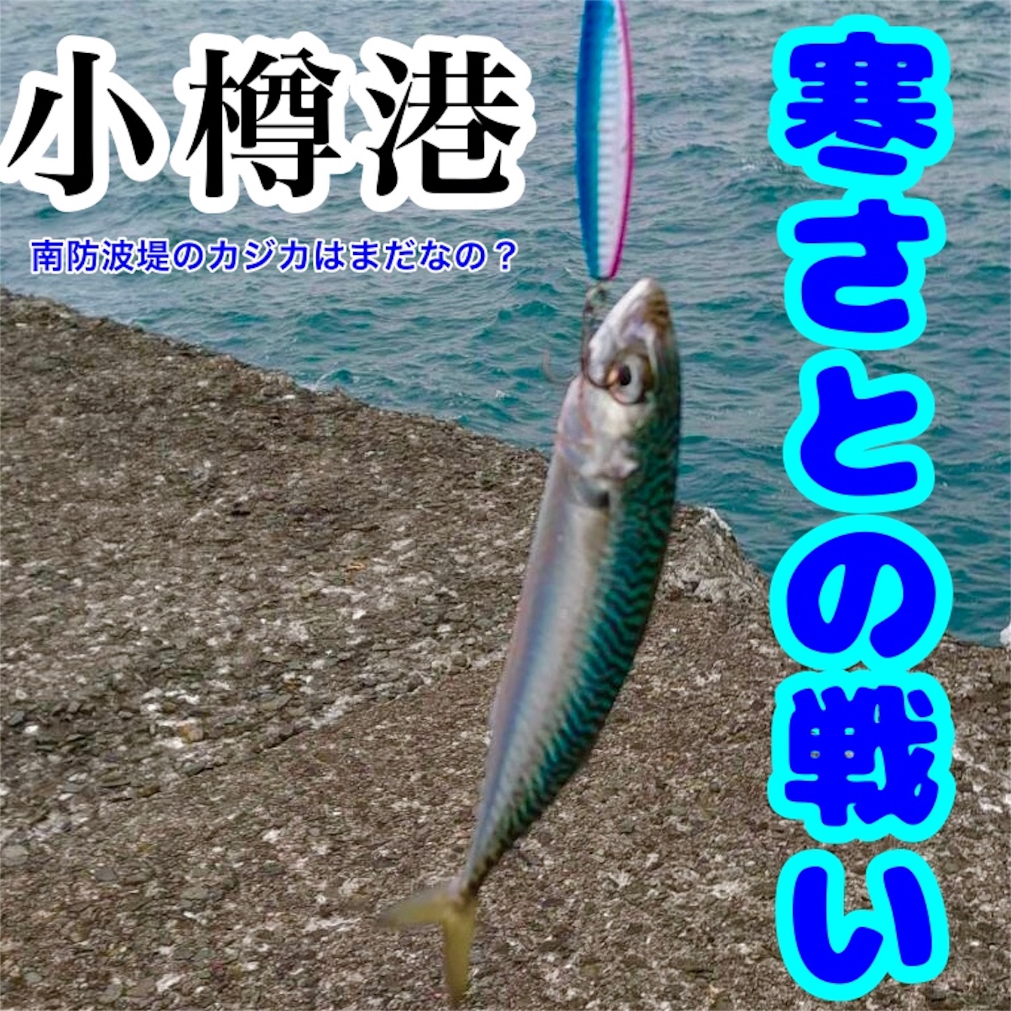 f:id:Jagaimoboys:20191114181806j:image f:id:Jagaimoboys:20191114181806j:image