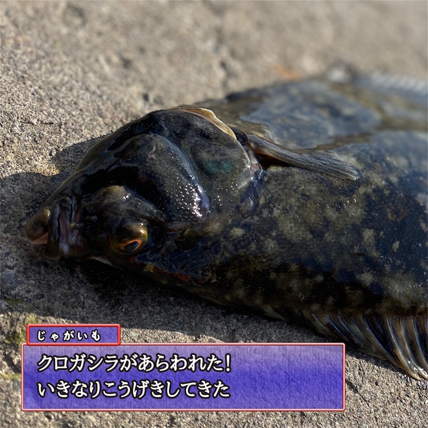 f:id:Jagaimoboys:20200322113951j:image f:id:Jagaimoboys:20200322113951j:image