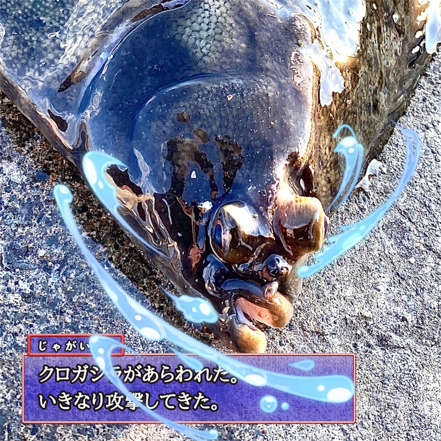 f:id:Jagaimoboys:20200322115726j:image f:id:Jagaimoboys:20200322115726j:image