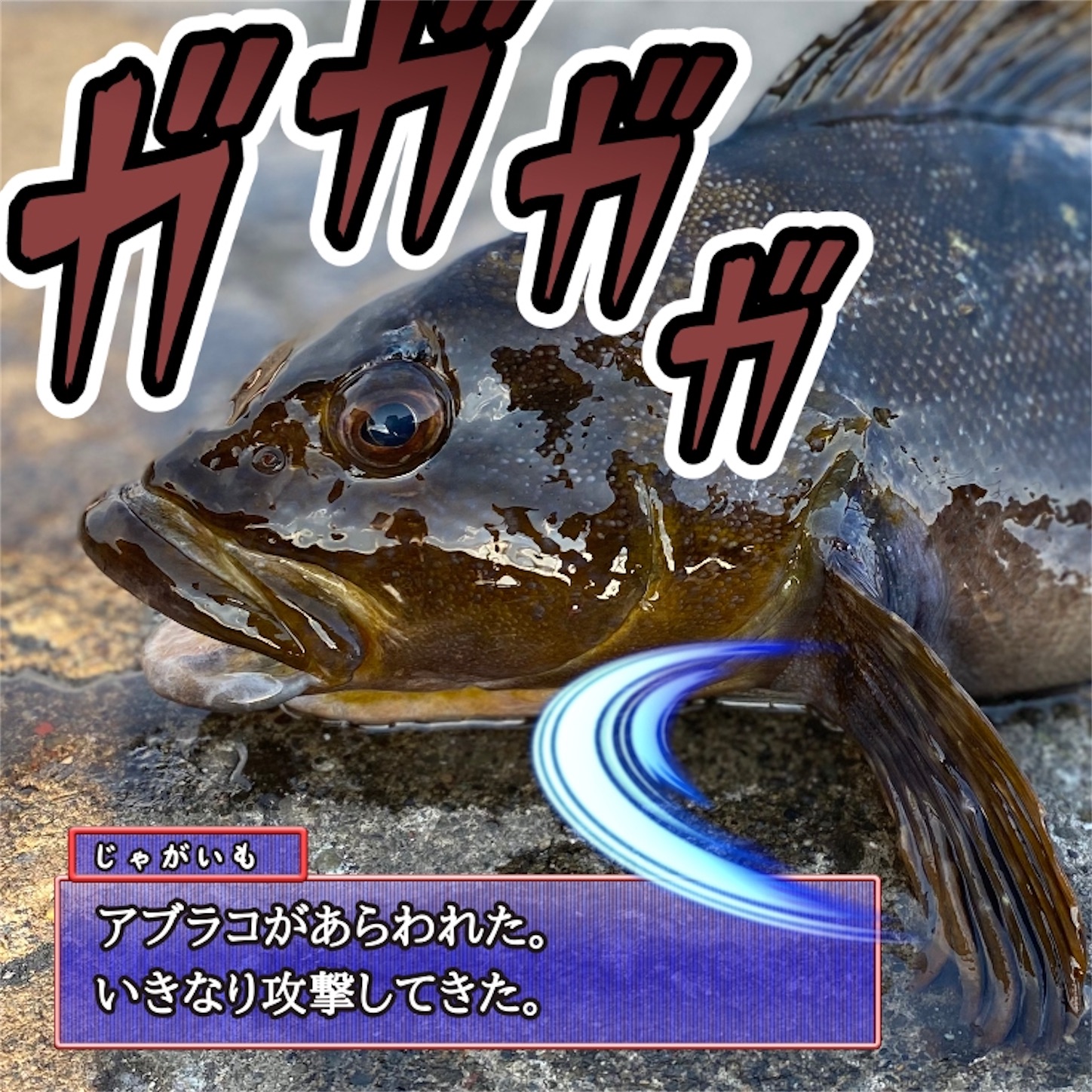 f:id:Jagaimoboys:20200322124106j:image f:id:Jagaimoboys:20200322124106j:image