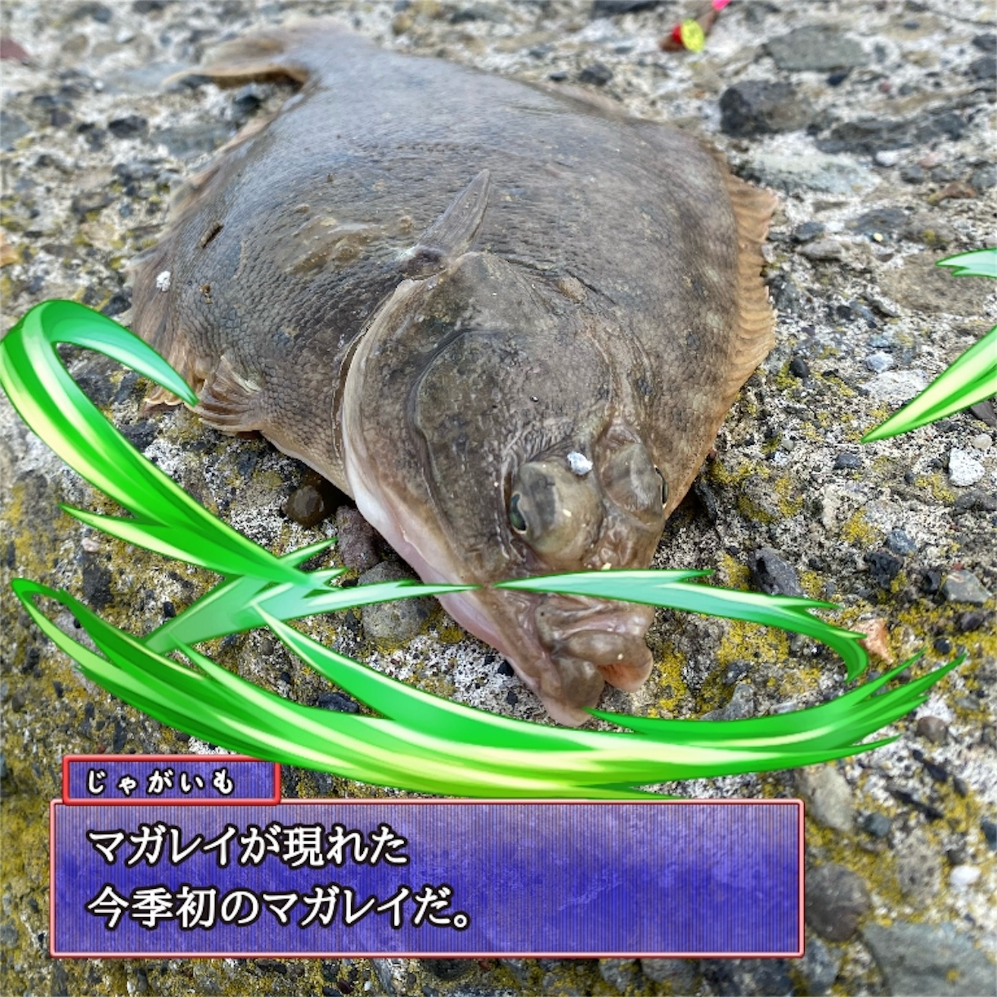 f:id:Jagaimoboys:20200410215003j:image f:id:Jagaimoboys:20200410215003j:image
