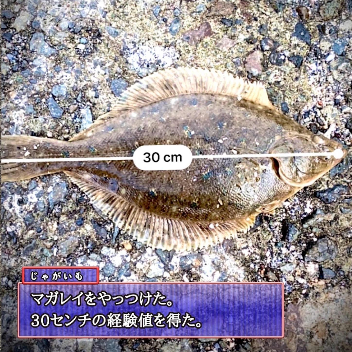 f:id:Jagaimoboys:20200410215149j:image f:id:Jagaimoboys:20200410215149j:image