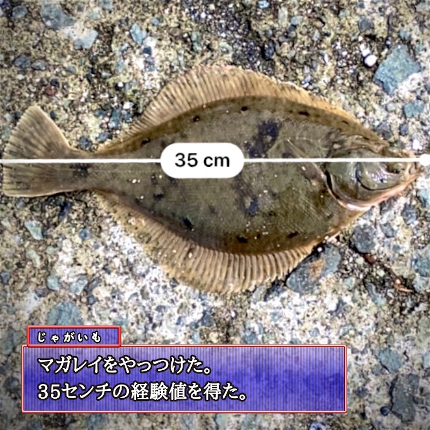 f:id:Jagaimoboys:20200410215347j:image f:id:Jagaimoboys:20200410215347j:image