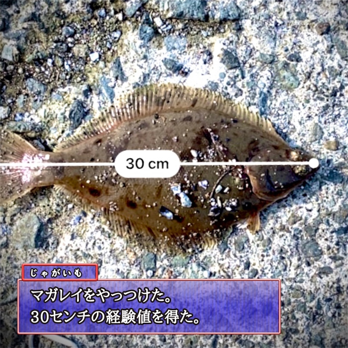 f:id:Jagaimoboys:20200410215530j:image f:id:Jagaimoboys:20200410215530j:image