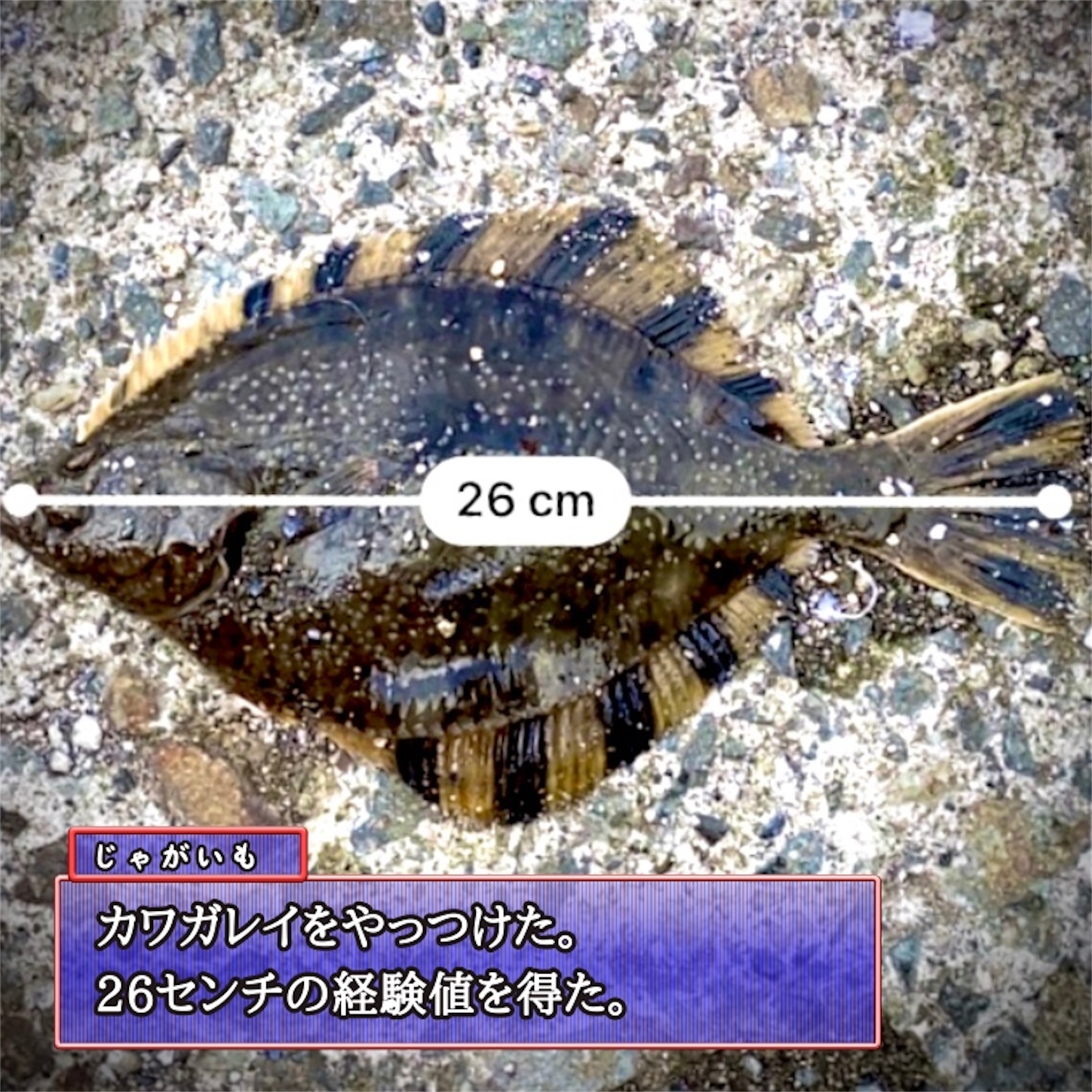 f:id:Jagaimoboys:20200410215545j:image f:id:Jagaimoboys:20200410215545j:image