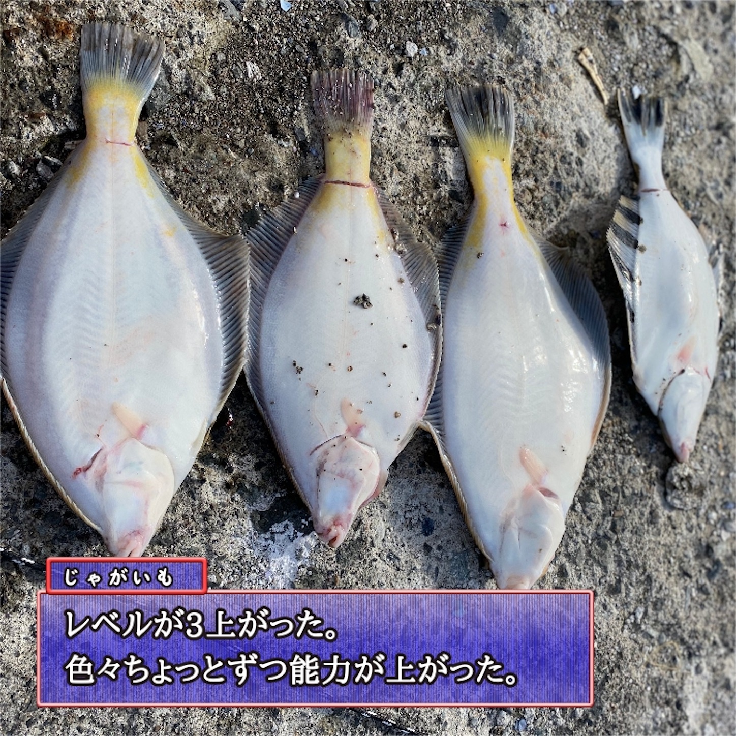 f:id:Jagaimoboys:20200410215829j:image f:id:Jagaimoboys:20200410215829j:image