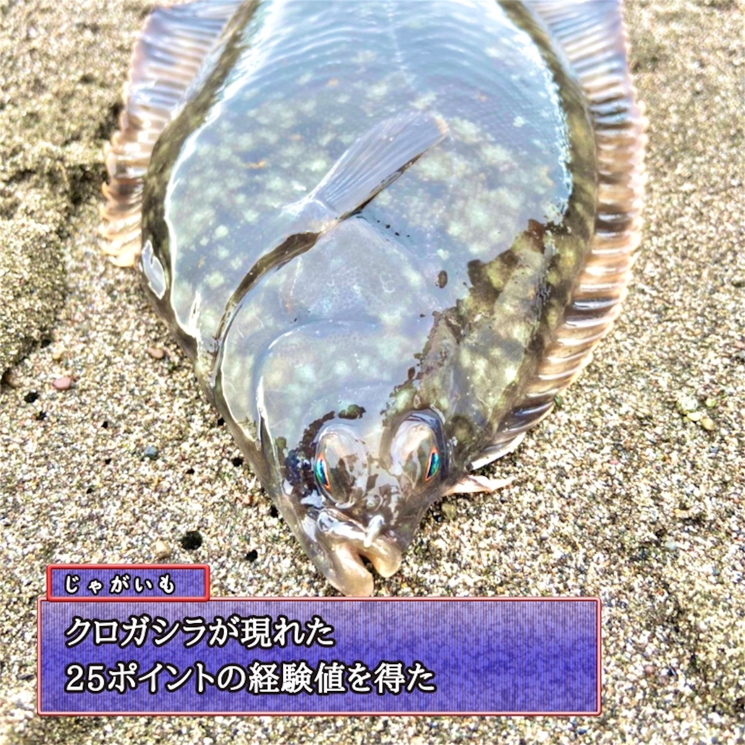 f:id:Jagaimoboys:20200722082011j:image f:id:Jagaimoboys:20200722082011j:image
