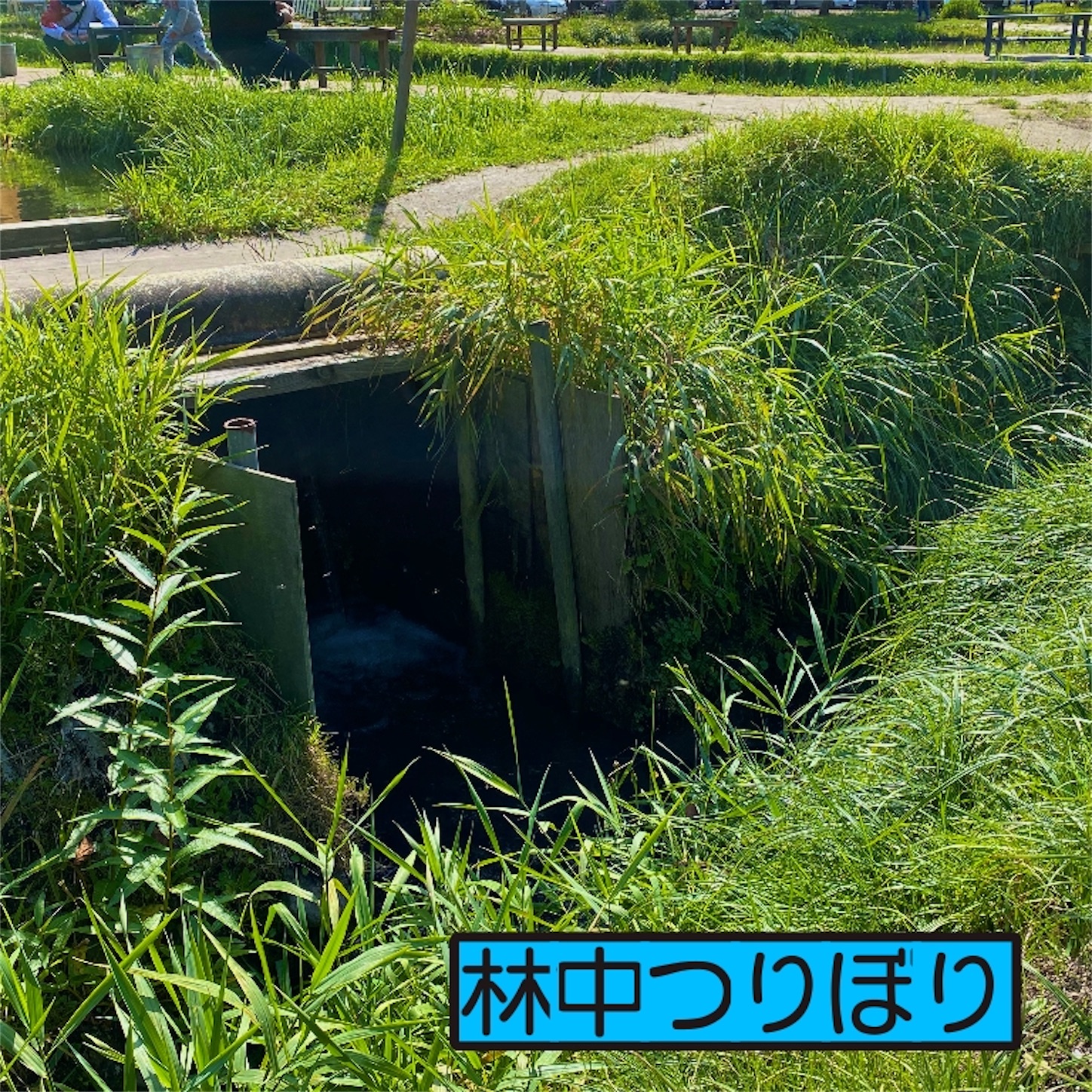 f:id:Jagaimoboys:20201010145841j:image f:id:Jagaimoboys:20201010145841j:image