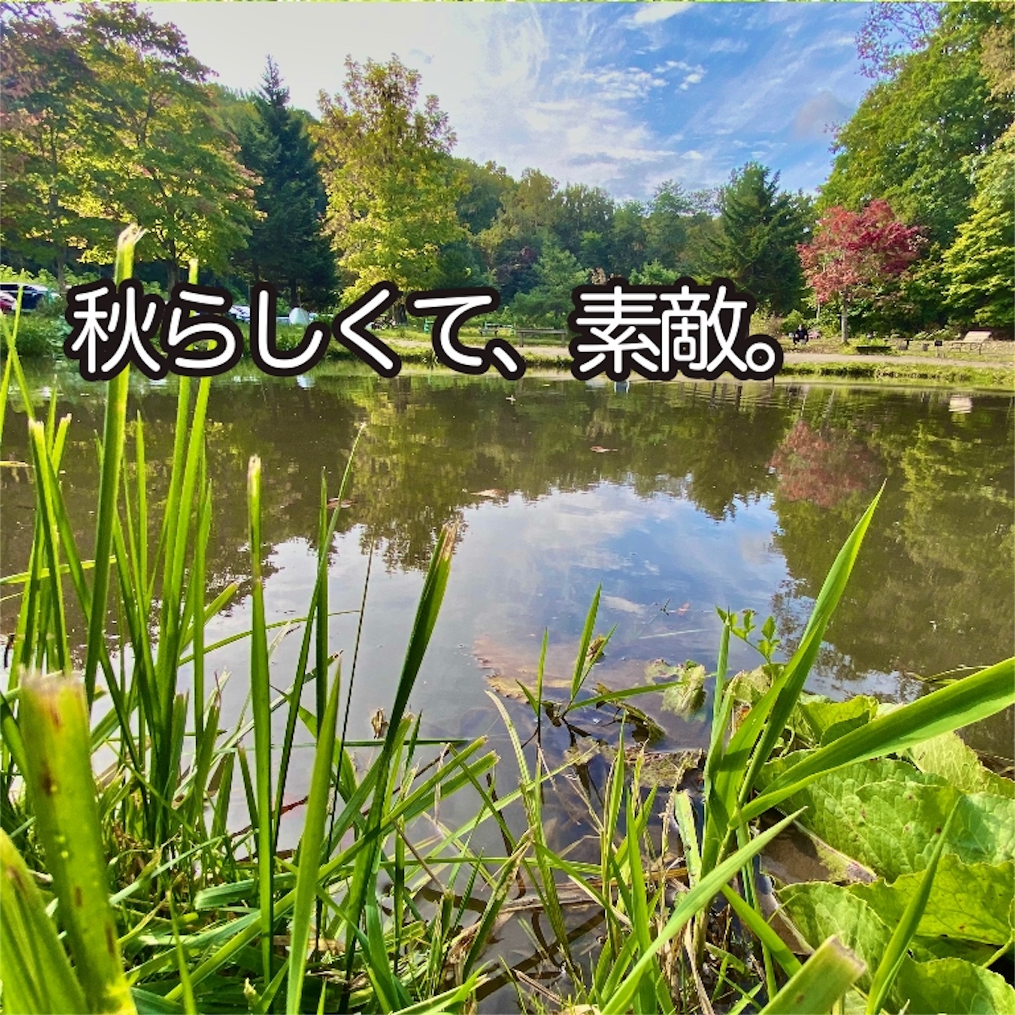 f:id:Jagaimoboys:20201010150344j:image f:id:Jagaimoboys:20201010150344j:image