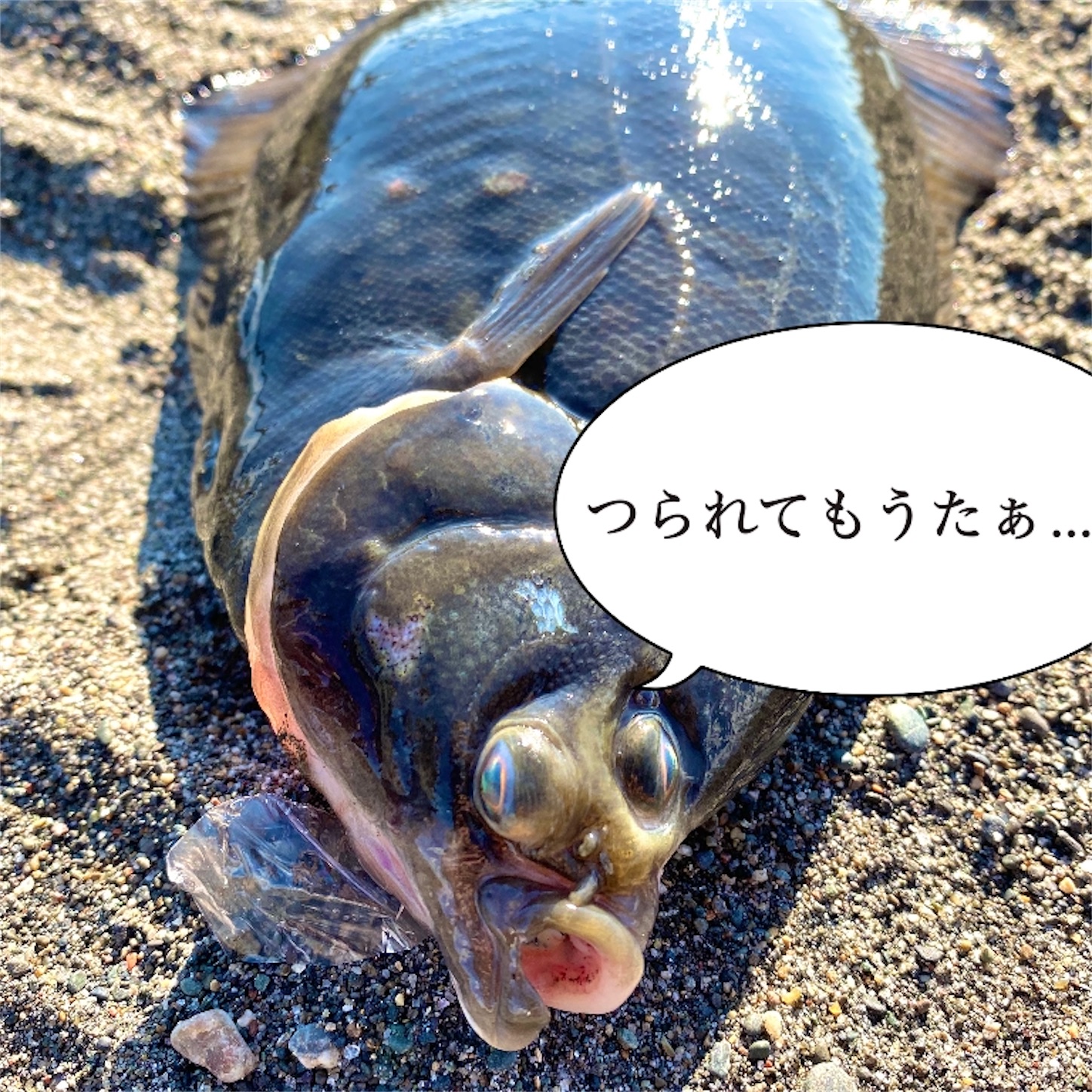 f:id:Jagaimoboys:20201018220124j:image f:id:Jagaimoboys:20201018220124j:image