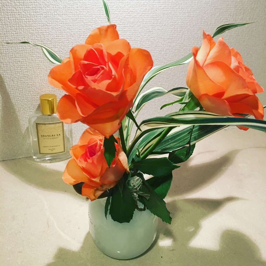 f:id:James_Bonchi:20170430181057j:plain