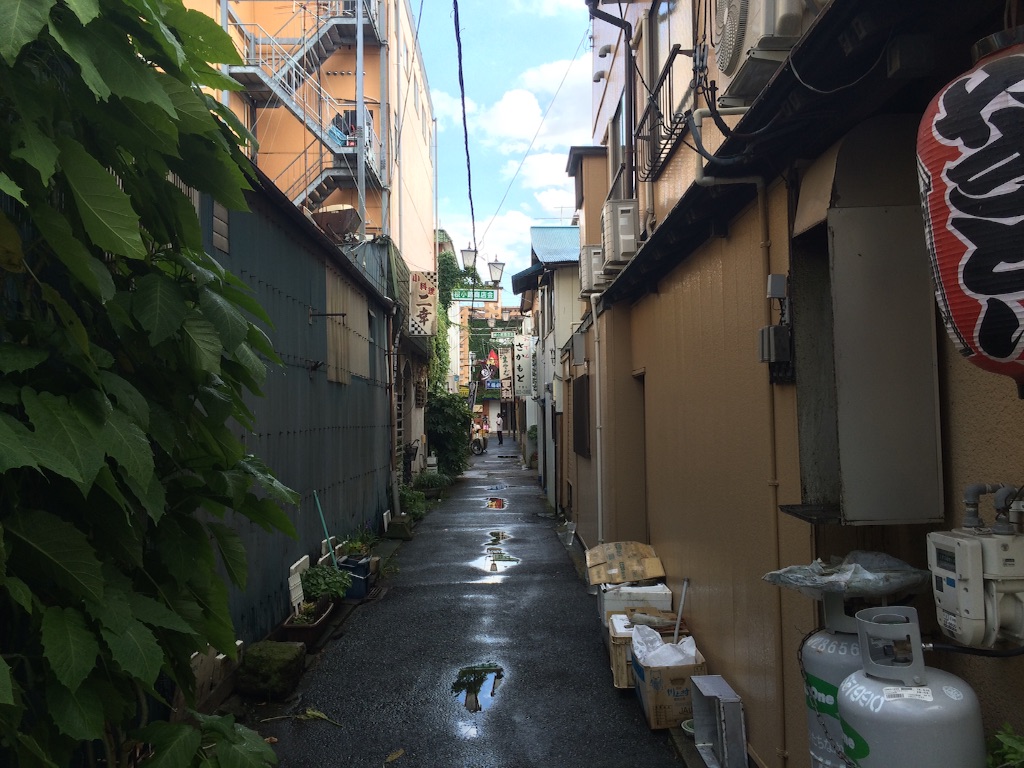 f:id:JapaneseSanpo:20150801011131j:image