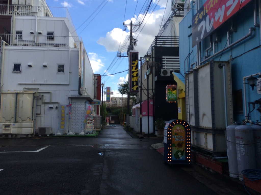 f:id:JapaneseSanpo:20150801011511j:image