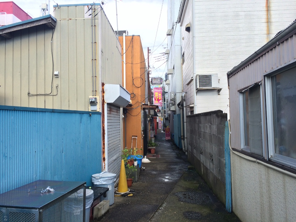 f:id:JapaneseSanpo:20150801011628j:image