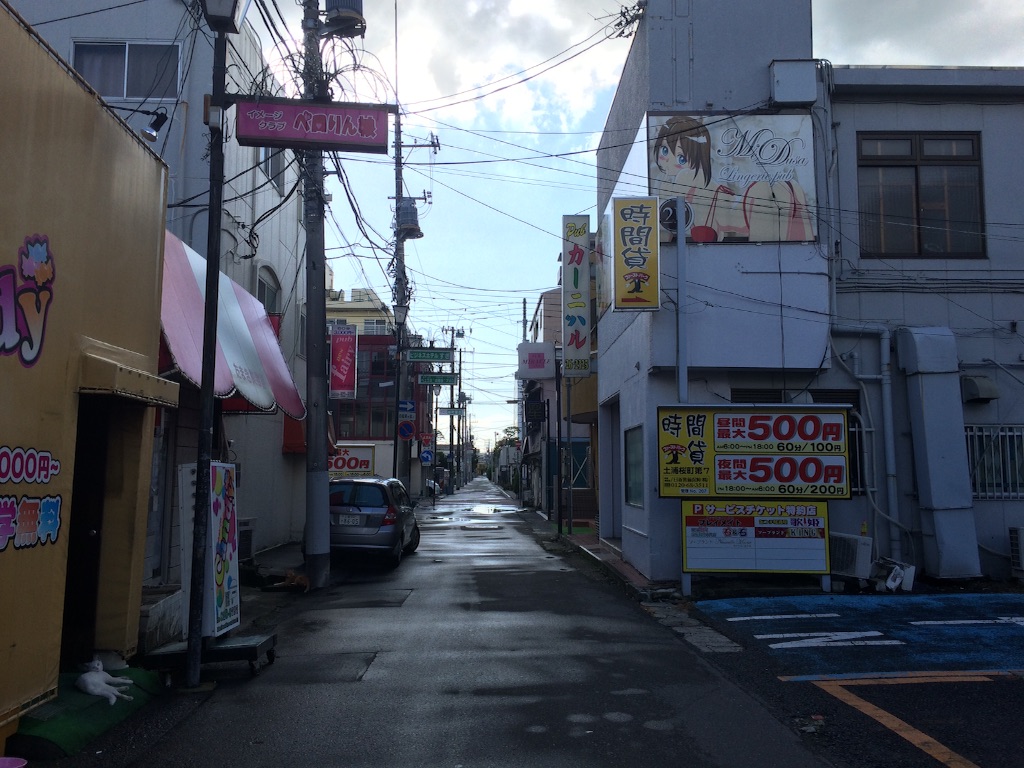 f:id:JapaneseSanpo:20150801011640j:image