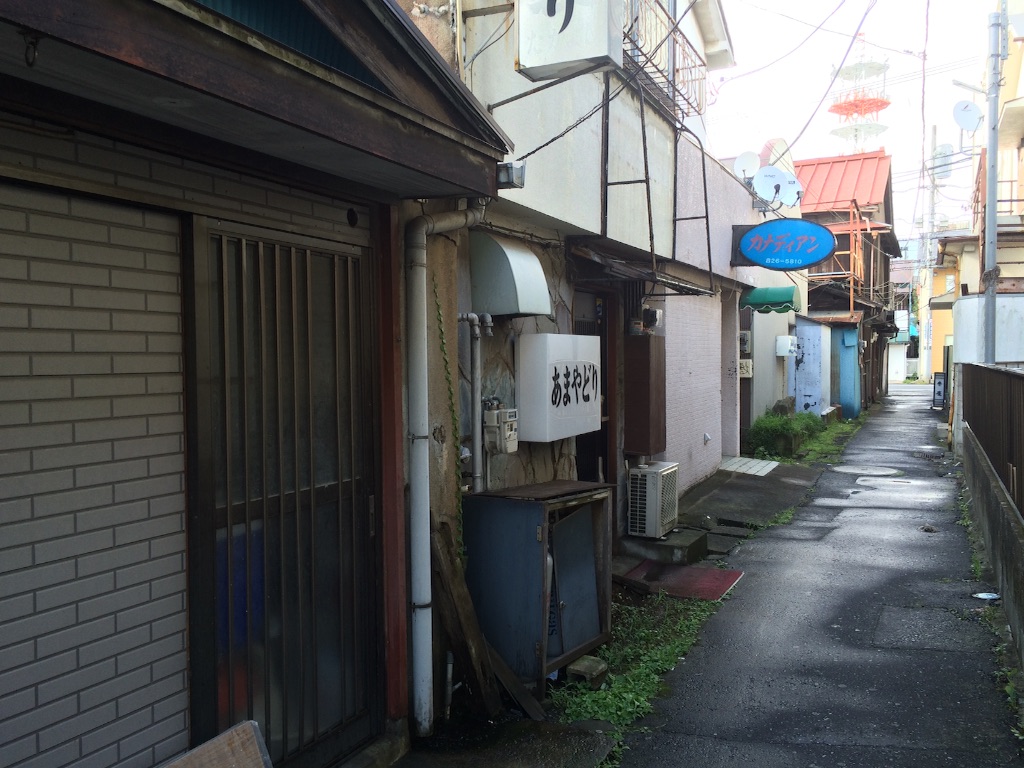 f:id:JapaneseSanpo:20150801011654j:image