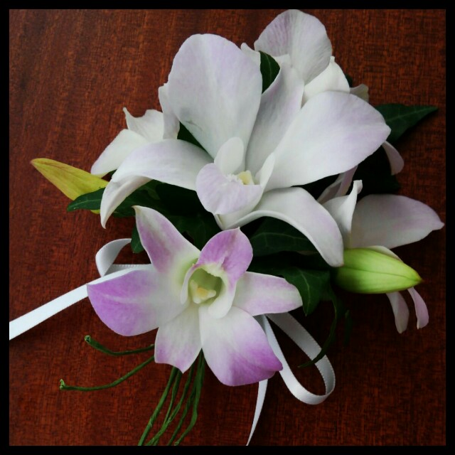 f:id:Jardina:20161020155449j:image