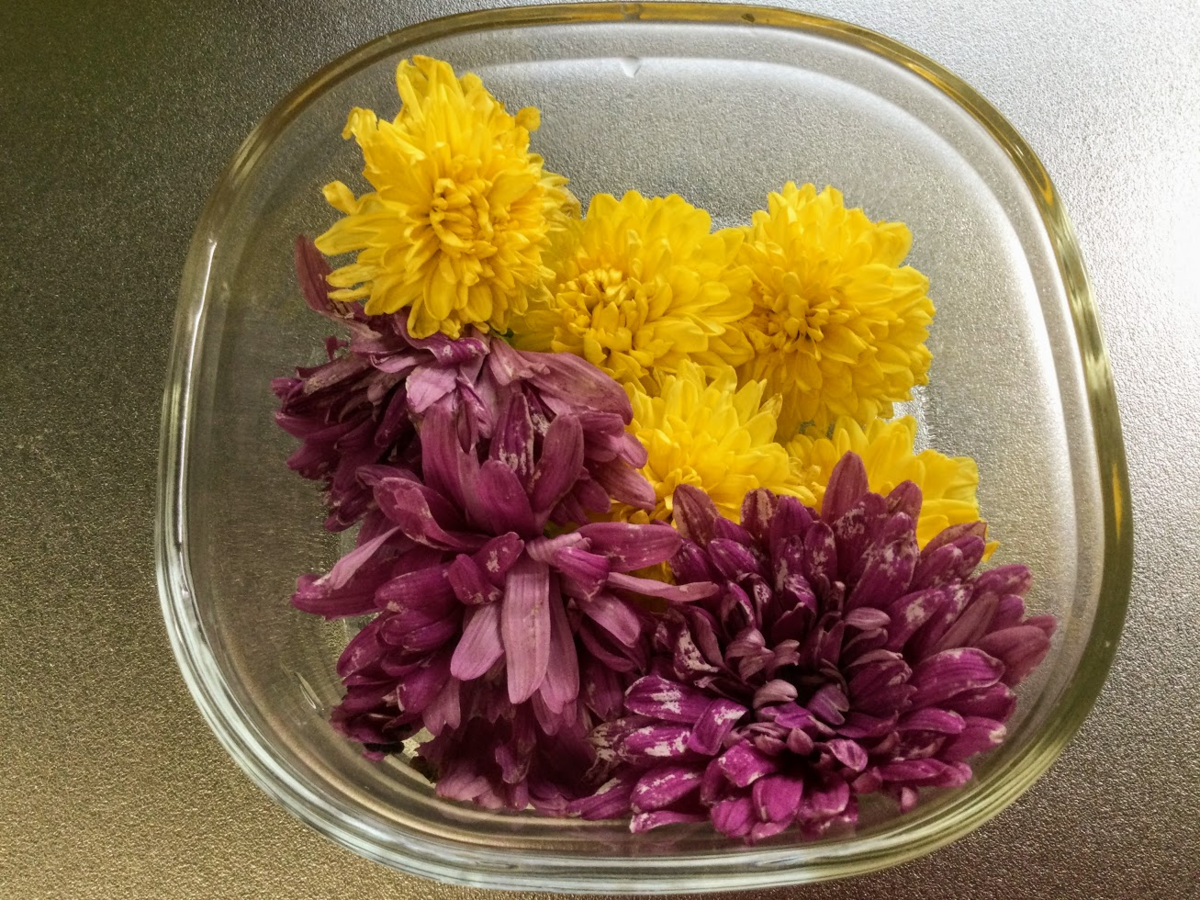 f:id:Jardinage:20200929173226p:plain
