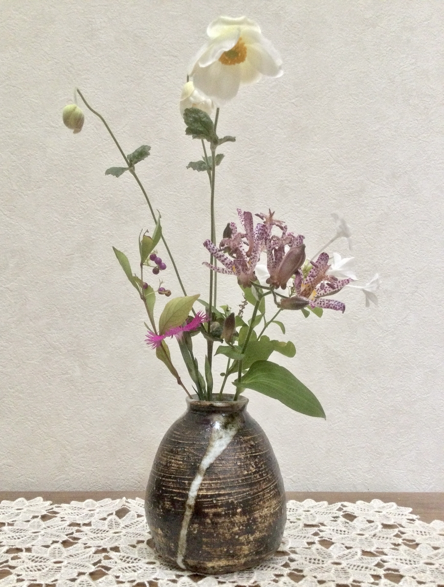 f:id:Jardinage:20201022091545j:plain