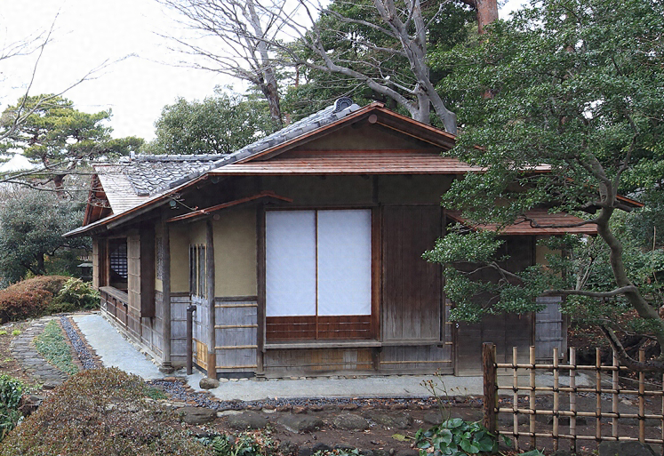 f:id:Jardinage:20210211235044j:plain