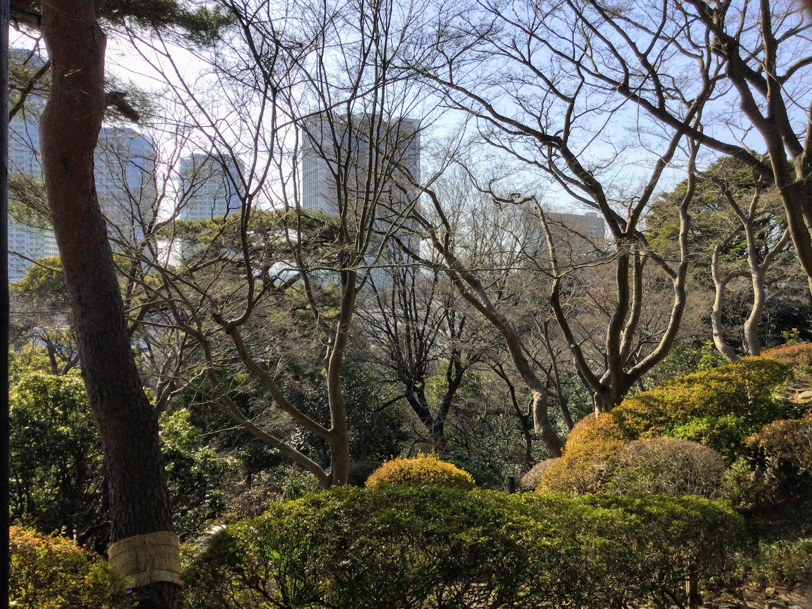 五島美術館 茶道具取合せ展 季節の草花と一緒にお茶でも 五島美術館 茶道具取合せ展 季節の草花と一緒にお茶でも