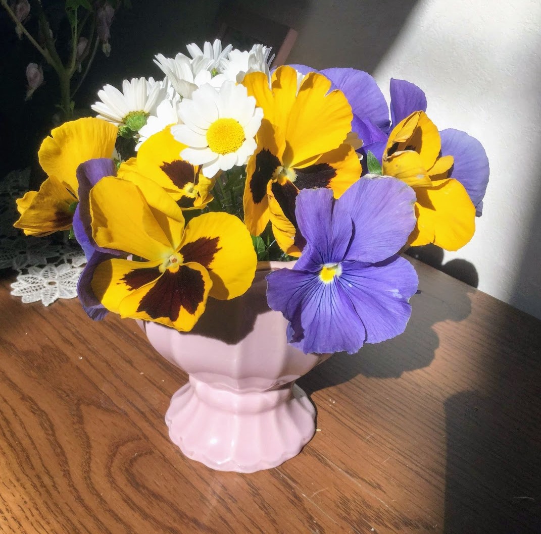f:id:Jardinage:20210405231129j:plain