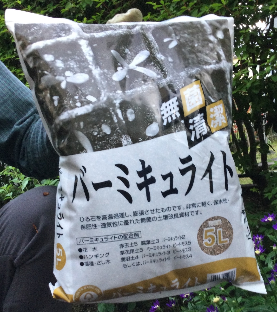f:id:Jardinage:20210609151108j:plain