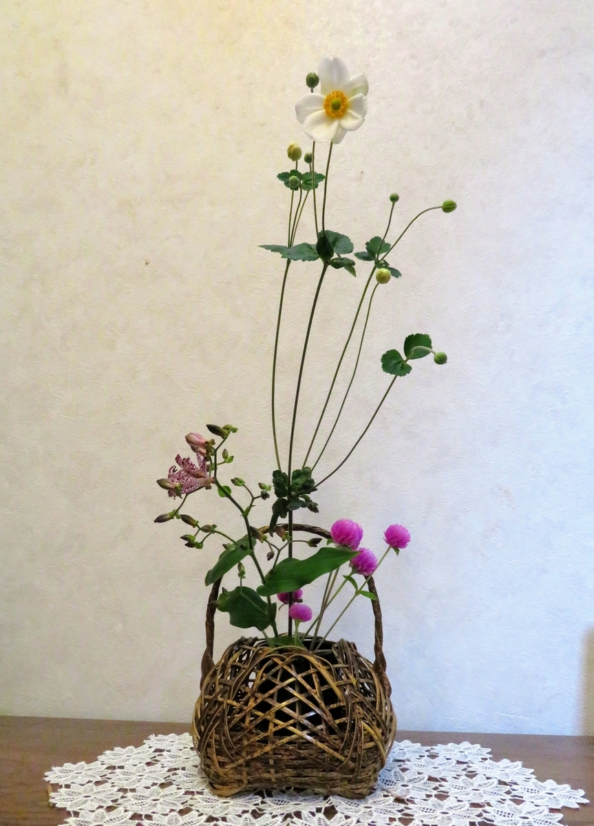 f:id:Jardinage:20211006014256j:plain