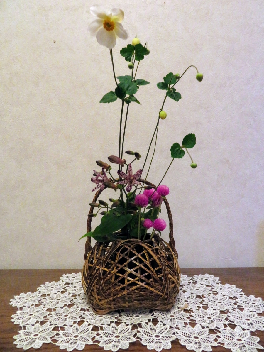 f:id:Jardinage:20211006020835j:plain