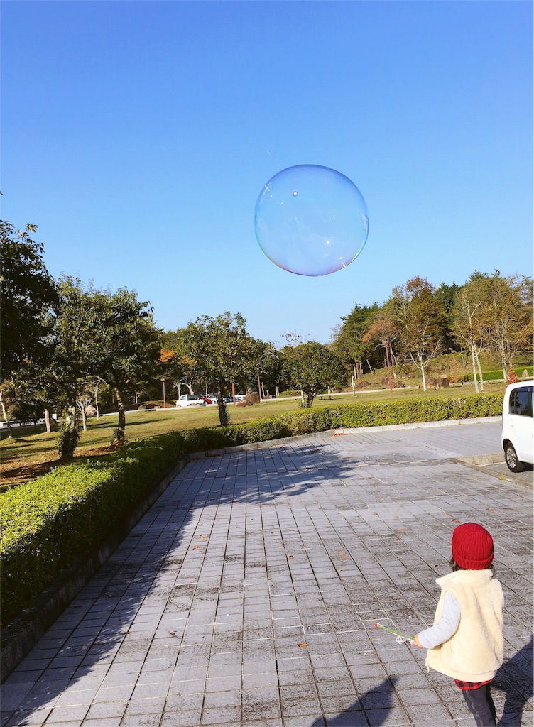 f:id:Jasmin-mom:20161113110726j:image f:id:Jasmin-mom:20161113110726j:image