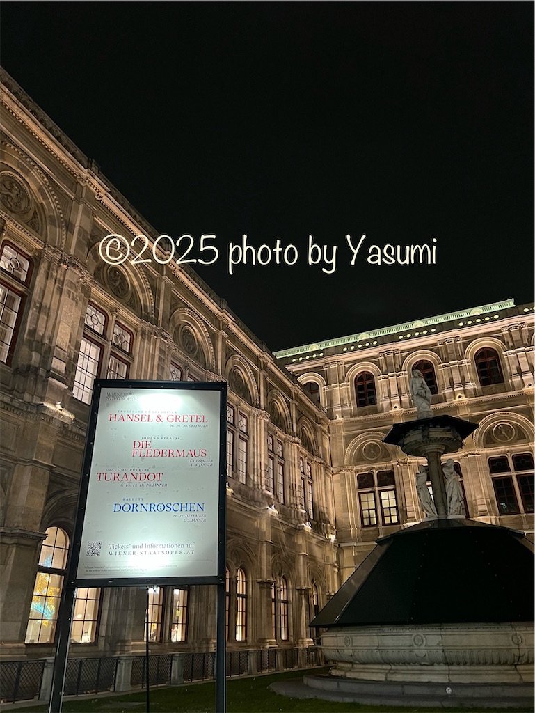 f:id:Jasmine7th:20250207205847j:image