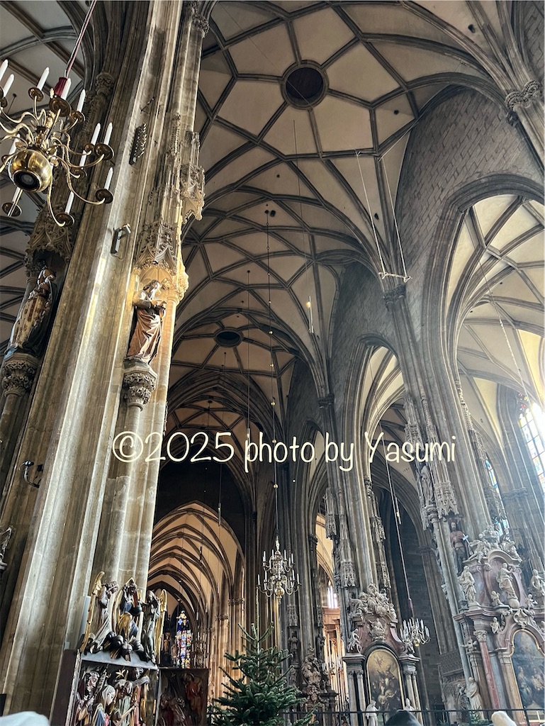 f:id:Jasmine7th:20250209102759j:image