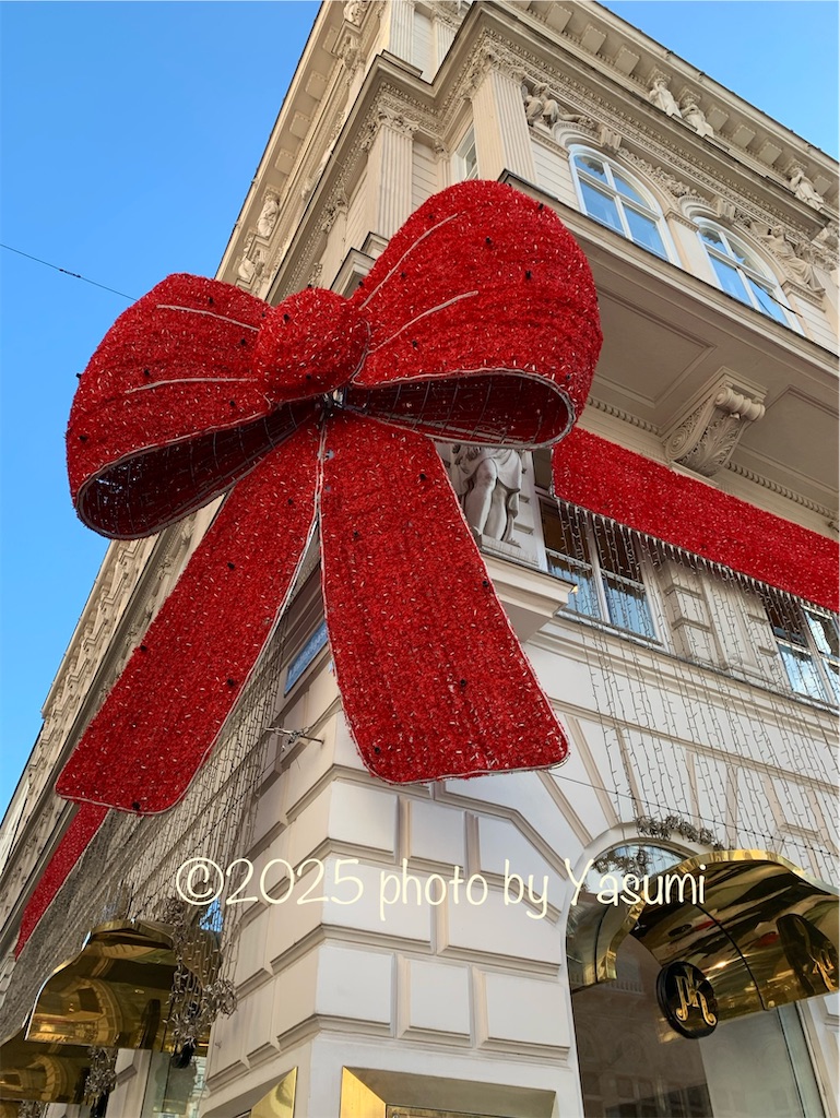 f:id:Jasmine7th:20250209102814j:image