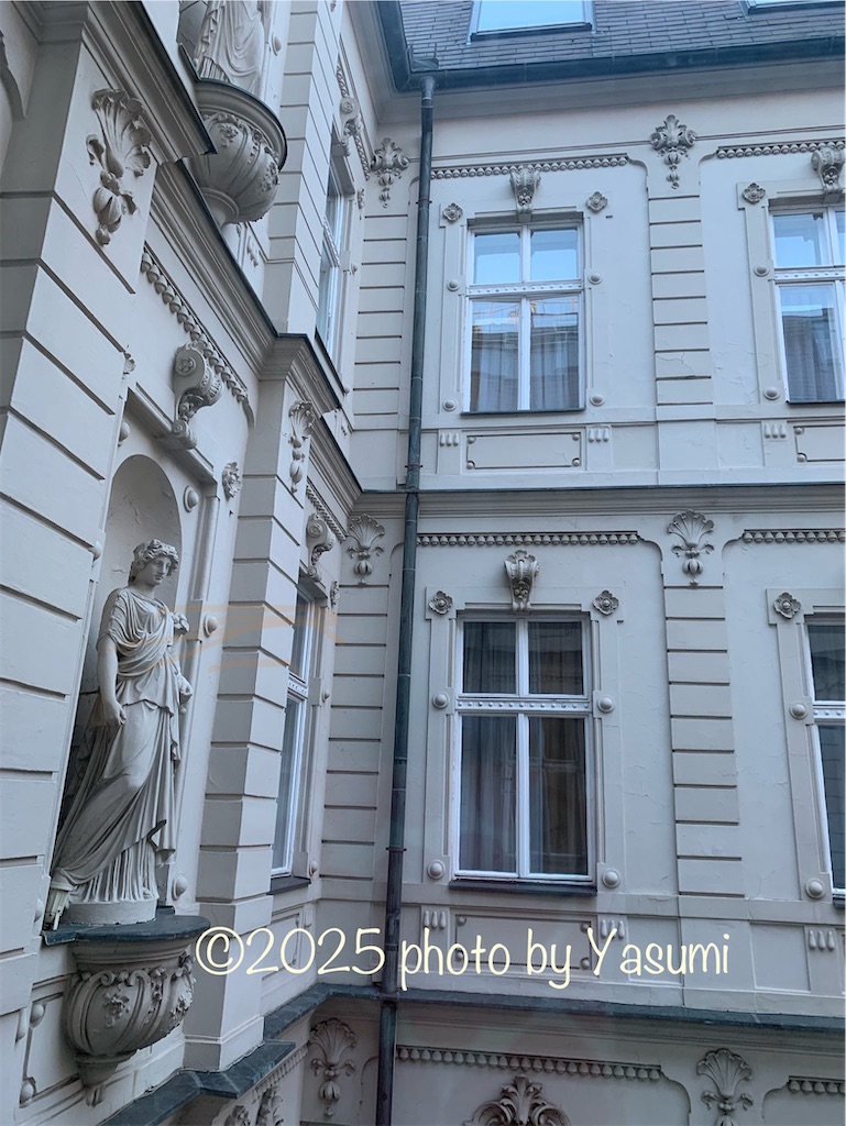 f:id:Jasmine7th:20250209151513j:image