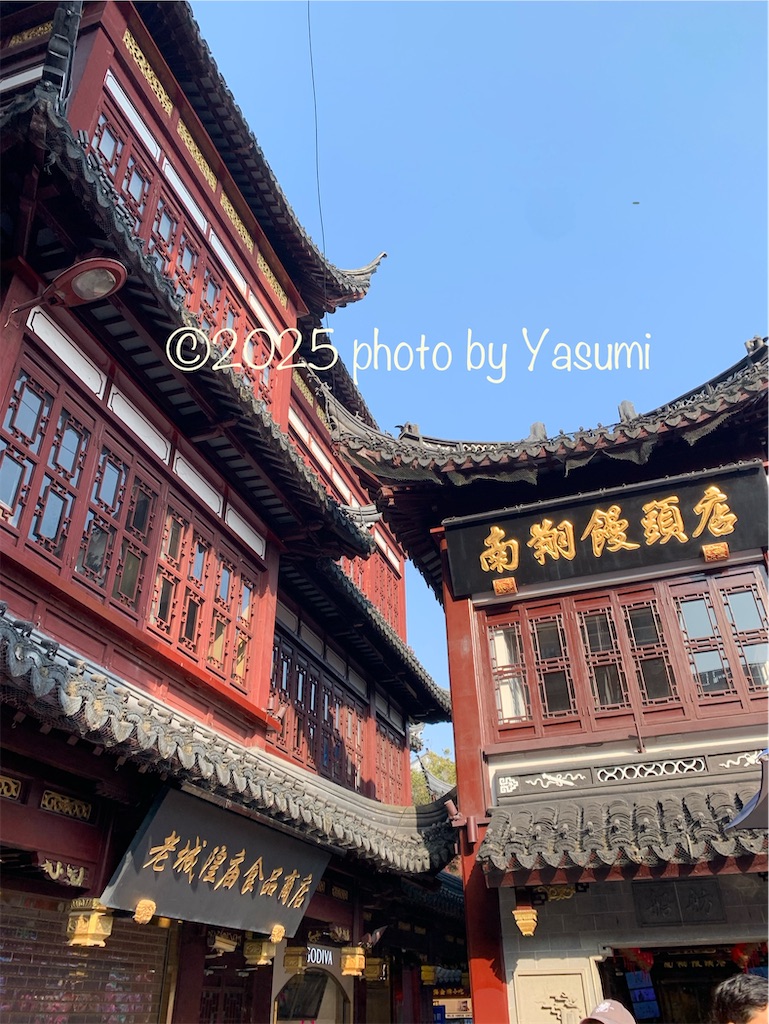 f:id:Jasmine7th:20250309162230j:image