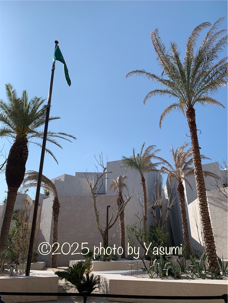f:id:Jasmine7th:20250504115647j:image