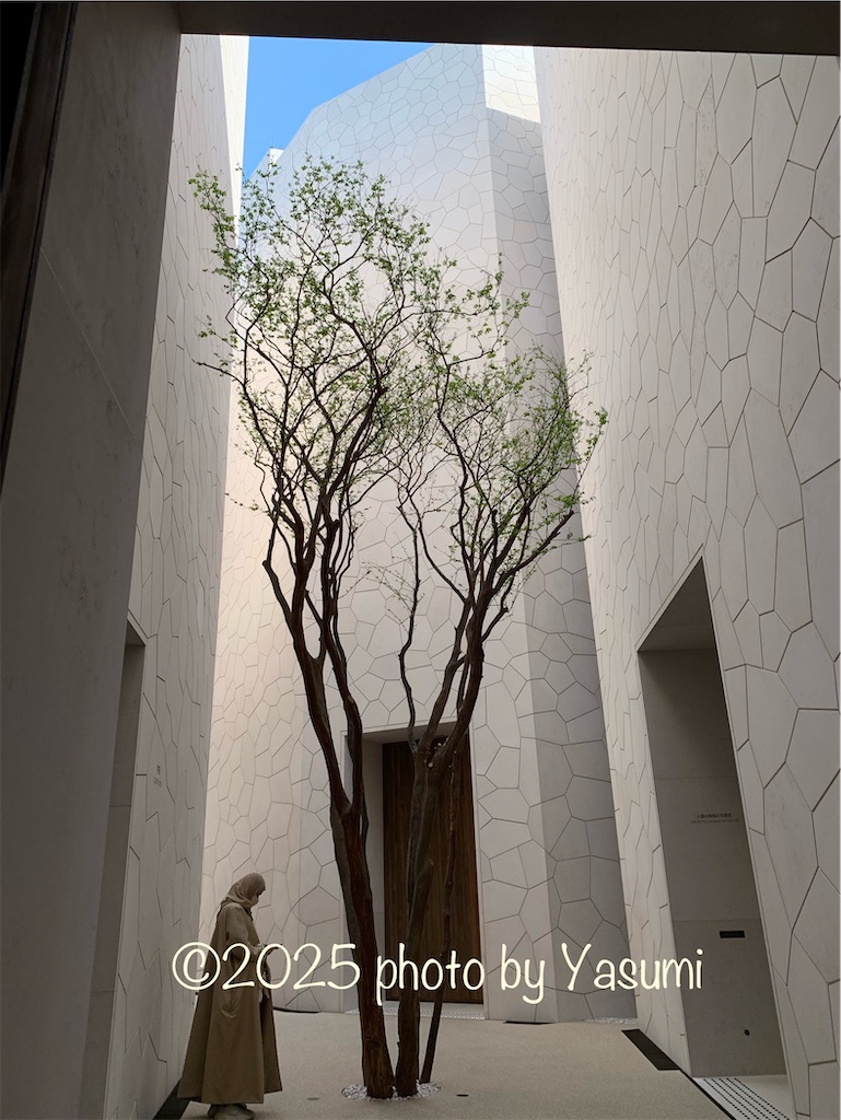 f:id:Jasmine7th:20250504122940j:image