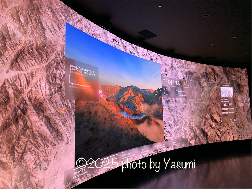 f:id:Jasmine7th:20250504125621j:image