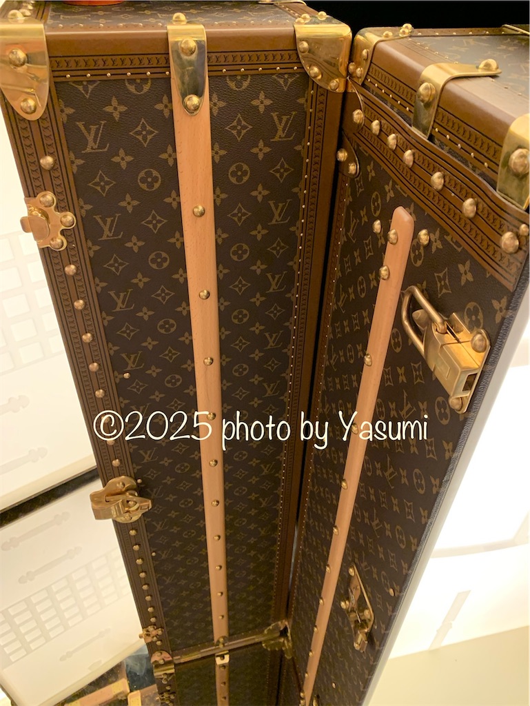 f:id:Jasmine7th:20250616163328j:image f:id:Jasmine7th:20250616163328j:image