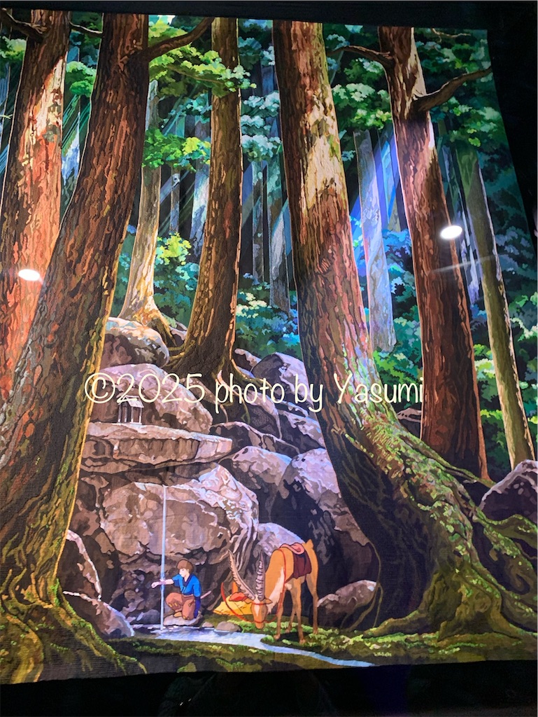 f:id:Jasmine7th:20250616163421j:image f:id:Jasmine7th:20250616163421j:image