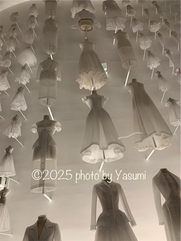 f:id:Jasmine7th:20250616164021j:image f:id:Jasmine7th:20250616164021j:image
