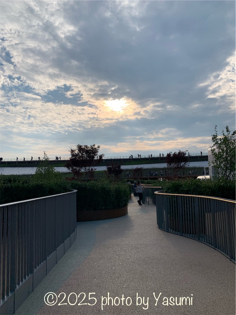 f:id:Jasmine7th:20250616173049j:image