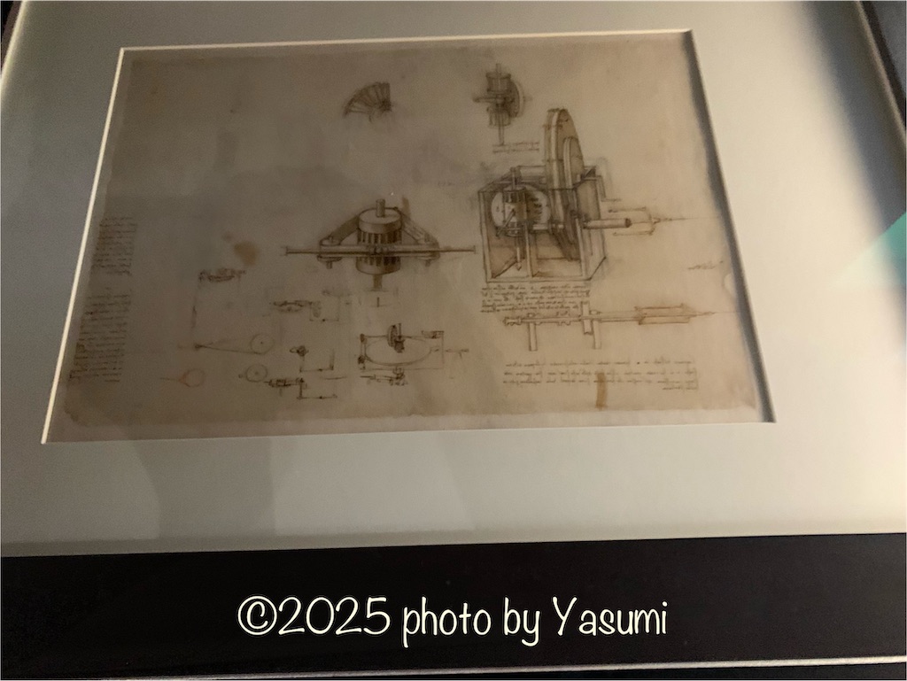 f:id:Jasmine7th:20250616220127j:image