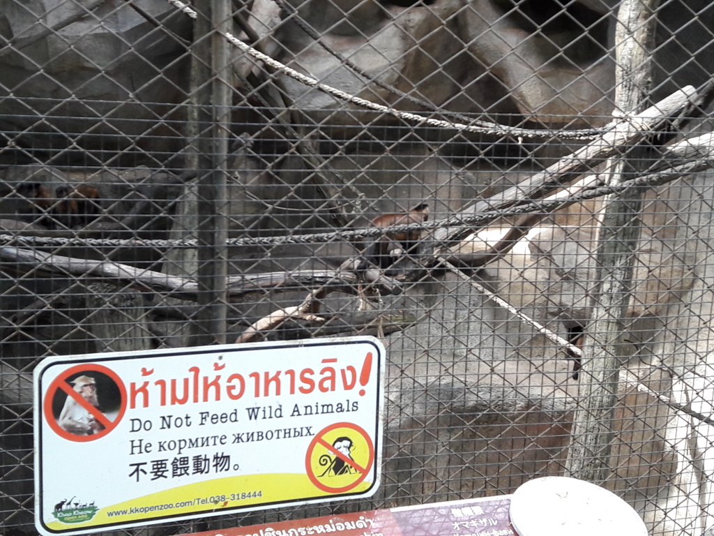 f:id:JasmineMali:20170905153920j:plain